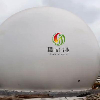 Chine Support de gaz biogaz en acier inoxydable avec jauge de niveau de gaz et manomètre de gaz à vendre