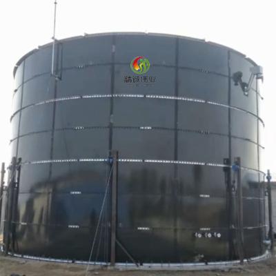 China Biogas Production Plant With Biogas Bag Digester In Europe for sale