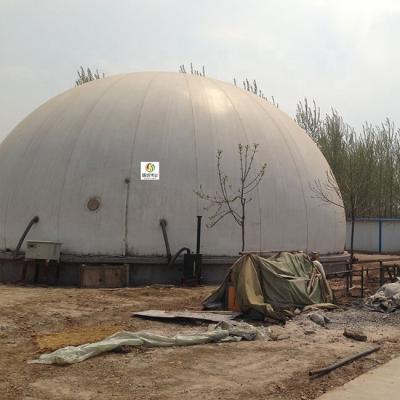 Cina Contenitore per biogas a doppia membrana a controllo automatico con reazione anaerobica in vendita