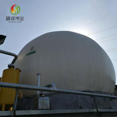 China Flexible Dual Membrane Gas Storage Tank for Biogas and Wastewater Storage Gas for sale