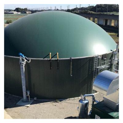 Cina Serbatoio di fermentazione del biogas per il reattore anaerobico per allevamenti di polli in vendita