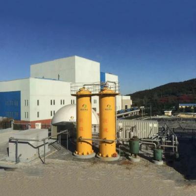 Chine Une usine de purification du biogaz d'acier assurant un carburant industriel propre et fiable à vendre