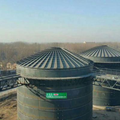 Chine Système anaérobie domestique de digesteur de biogaz de projet d'usine de biogaz d'EGSB à vendre