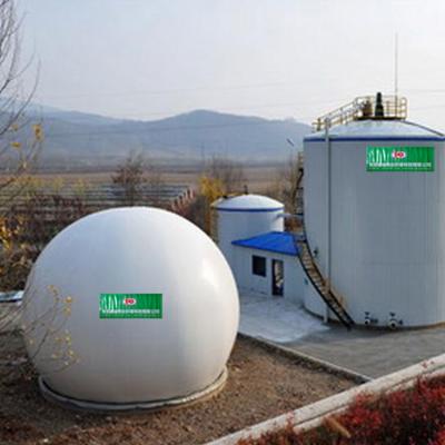 China Schwefelwasserstoff-Methan-Gaswascher-Biogas-Reinigungs-Ausrüstung zu verkaufen