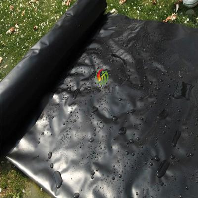 China 60 Mil 80 Mil Hdpe Liner High Density-Polyethyleen Geomembrane Te koop