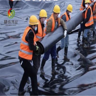 Κίνα Πλαστικό PE 3mm Geotextile στεγανή μεμβράνη για τη διαπερατή επίστρωση προς πώληση