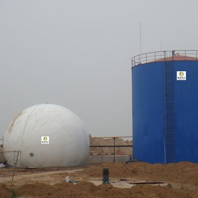 China Anaërobe van de het Gashouder van het Reactorbiogas van de het Methaanautoclaaf Woon Bio het Gashouder Te koop