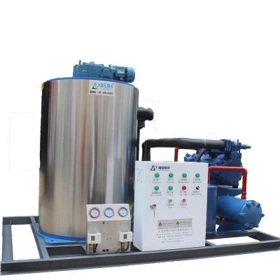 China Containerized Commercial Flake Ice Machine Mobile Plant for sale