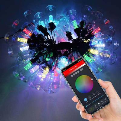 China Smart Christmas Lights Custom Light Colorful Dozens Of Modes 16 Million Colors APP Control for sale