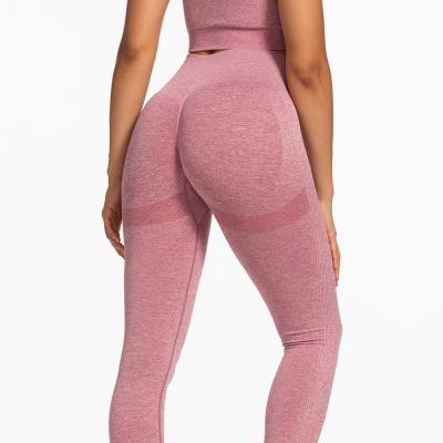 China Breathable Yoga Clothes Sports Hips Slim Nylon Seamless Fitness Absorbing Sweat Wicking Yoga Pants Gym Legging for sale