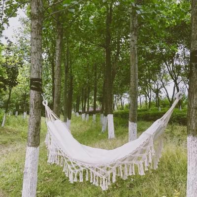 China Craftsman Boho Patio Adult Hammock Chair Macrame Swing with Cushions Hamacas Sillas Colgante for Home Bedroom for sale