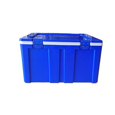 China High Quality Waterproof Custom Camping Cooler Box Outdoor Plastic Cooler Box for sale