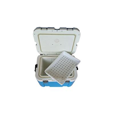 China Large Waterproof High Quality Insulin Wine and Cheese Camping Picnic Raising Food Boxes Bulk Box Cooler Cooling Box for sale