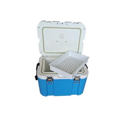 China Waterproof Outdoor Camping Cooler Box Hot Sale Ice Cooler Plastic 9l Insulated Box for sale