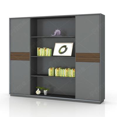 China Modern 2021 Office Cabinet Storage Cabinet Office Furniture Cabinet 2 Door Metal for sale