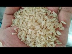 artifical rice fortified rice kernel FRK making machine