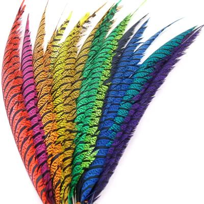 China Diy Open Zebra Lady Amherst Pheasant Tail Feathers In Stock For Sale for sale