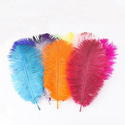 China Small size colorful ostrich feather ostrich feathers for sale