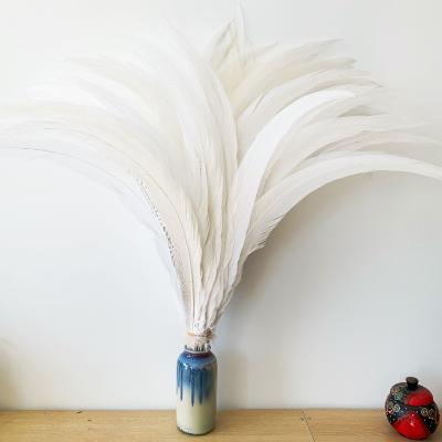 China Diy Opens White Silver Pheasant Feathers In Stock For Carnival Costumes for sale