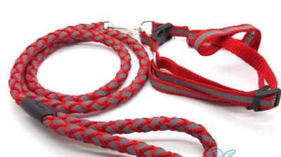 China Adjustable Braided round rope dog leash for sale