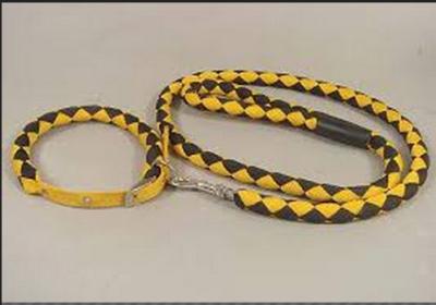 China Yellow black braided polyester rope Soft PU dog leash for big dogs for sale