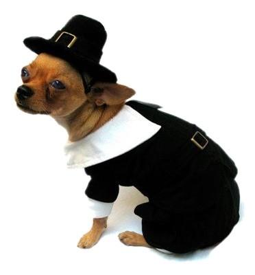 China Pet Formal Pilgrim Boy Dog Costume Wear doggie outfits western style for sale