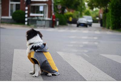 China Mittelgroßer Zucht-Hund kleidet Regenmantel-Freizeitkleidung für Haustier-Welpen-Kleidung Soem zu verkaufen