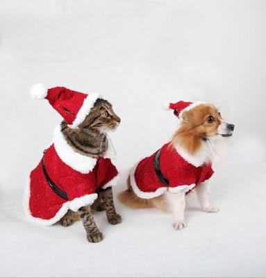 China El perro rojo de la Navidad viste invierno en venta