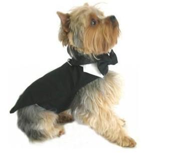 China Negro formal del traje del smoking del perrito del caniche para las bodas del perro, damas de honor en venta