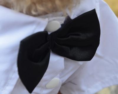 China OEM/ODM negros blancos modificados para requisitos particulares de las chaquetas del vestido de banquete de boda del animal doméstico del perro del muchacho en venta