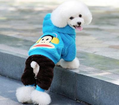 China Protective Bichon Frise Dog Hooded Sweatshirts clothes xxx small , Paul Frank pattern for sale