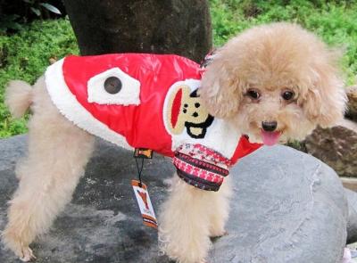 China Autumn / Winter Dog Hooded Sweatshirts for sale