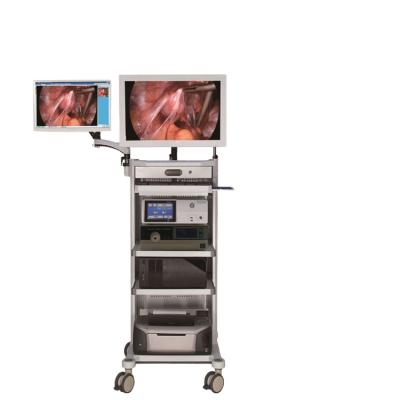 China Endoscope Surgery Endoscopy HD Endoscope Surgical Tower for sale