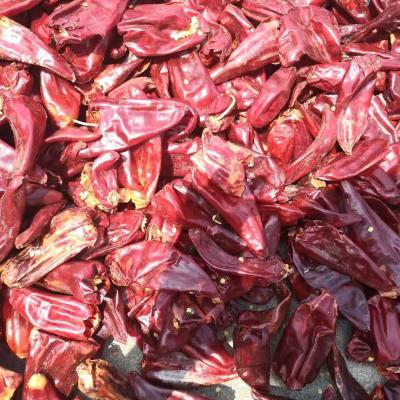 China wholesale dry red hot chili peppers for sale