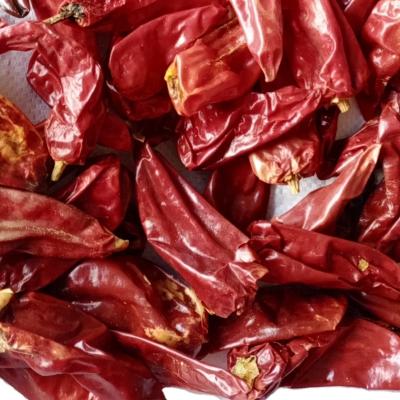 China Chilli pepper yidu dry sweet spicy chili pepper for sale