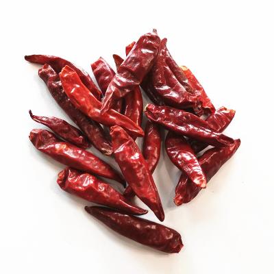 China wholesale 100% natural dried red chaotiao chili pods for sale