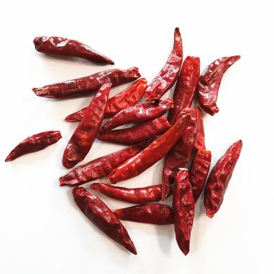 China 100% natural dry red chaotian whole stemless chili pepper for sale