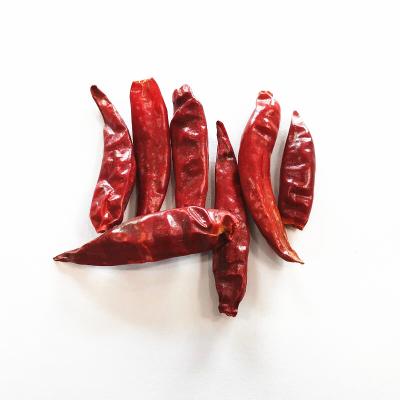 China 100% Natural Premium Tianjin Dry Red Chilli Pepper Pods Without Stem for sale