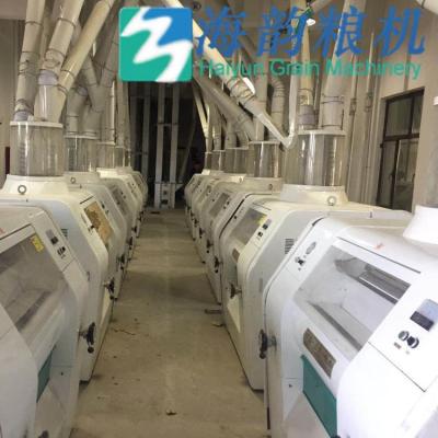 China 120tons Complete Plant Corn Flour Mill Machine Wheat Milling Plant for sale