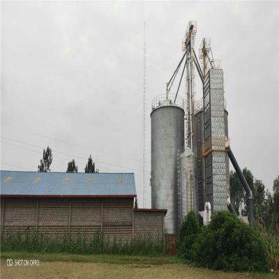 China Corn and Storage Silo Machine Dry Plant Food Flour Mill Grinding Machine 100-300TPD for sale