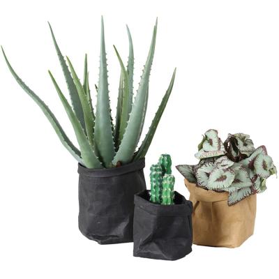 China Wholesale Indoor_outdoor Kraft Storage Fabric Washable Paper Handled Bag For Plants Flower for sale