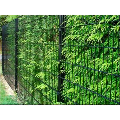 China Easily Assembled Eco Friendly Fence Designs Double 8/6/8 Twin Wire Mesh Fence Panels for sale