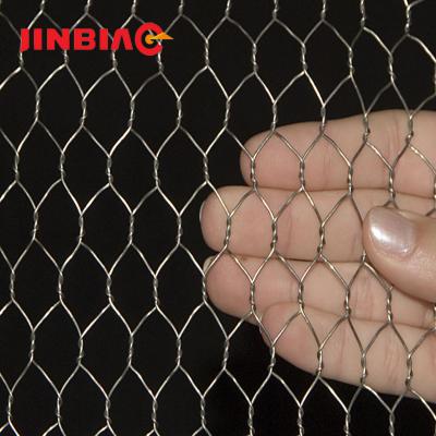 China Factory Hex Netting Wire / Poultry Wire Meshes for sale