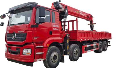 China Shacman 12 Tons 14 Ton 16 Ton Telescopic Boom Truck Mounted Crane Te koop