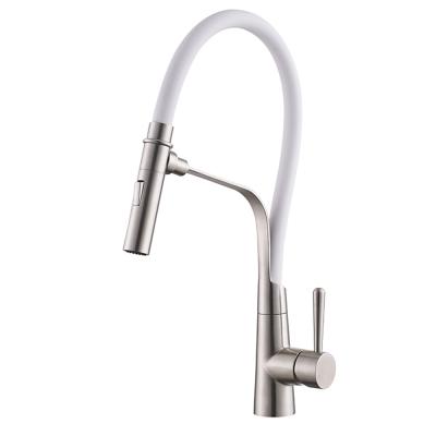 China Stainless Steel 304/316 Polished Sink Faucet Kitchen White Flexible Hose For Kitchen Faucet for sale