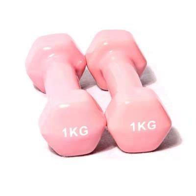 China High Quality Universal Round Shaped Neoprene Dumbbell Exercise Training Vinyl Dumbbell Set for sale