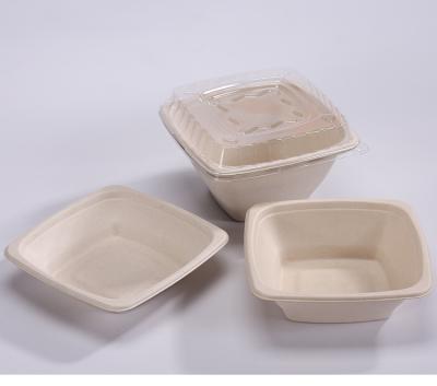 China Disposable Bagasse Fruit Salad Bowls Water-Repellent Eco-Friendly Biodegradable Bamboo Sugar Cane Tableware With Lid for sale