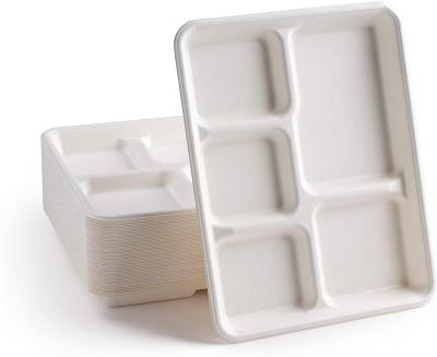 China Eco Friendly Disposable Bagasse Pulp Sugar Cane 5 Compartment White Disposable Compostable Dishes for sale