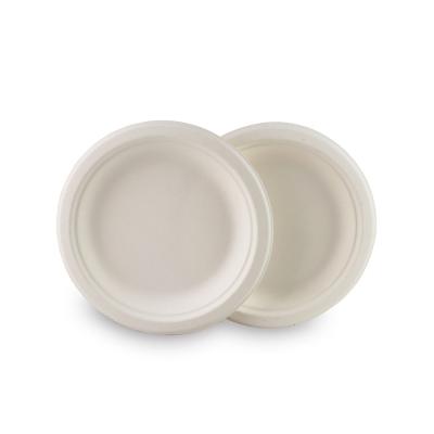 China Water-Repellent Eco-Friendly Bagasse White Disposable Pupl Small Round Compostable Tableware 12