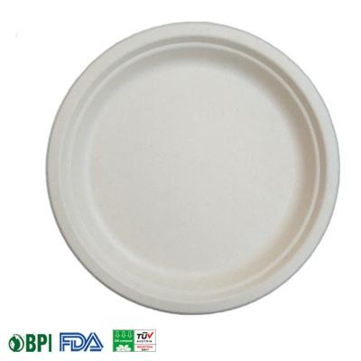 China Manufacturer Wholesale Minimalist Sugar Cane Bagasse Dishes 12 Inch Disposable Small Compostable Dishes for sale